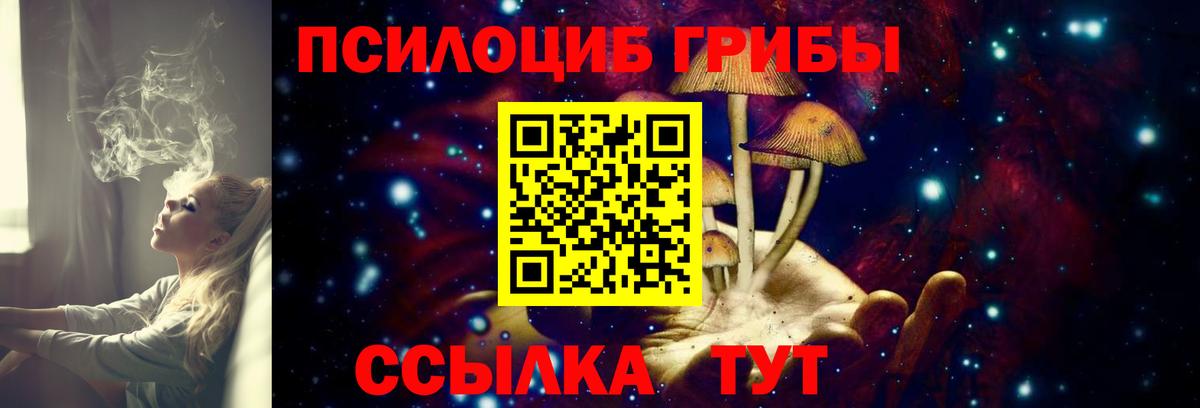 Вятские Поляны  Галлюциногенные грибы Cubensis  Вход с VPN 